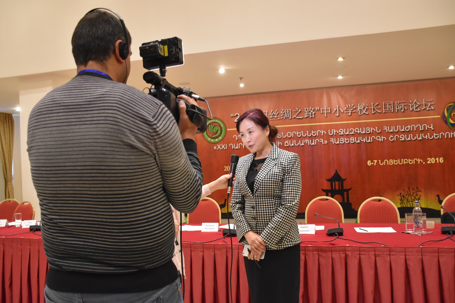 杨美华院长接受采访.JPG